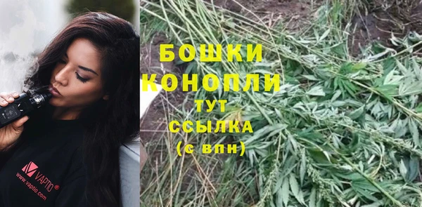 амф Касимов