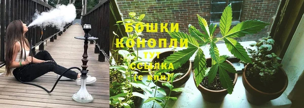 амф Касимов