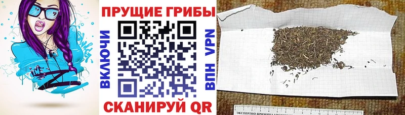 Купить закладки  Остров  Галлюциногенные грибы ЛСД 